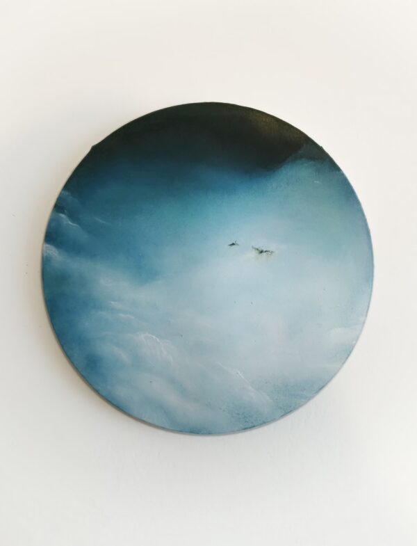 Back to the woods III.